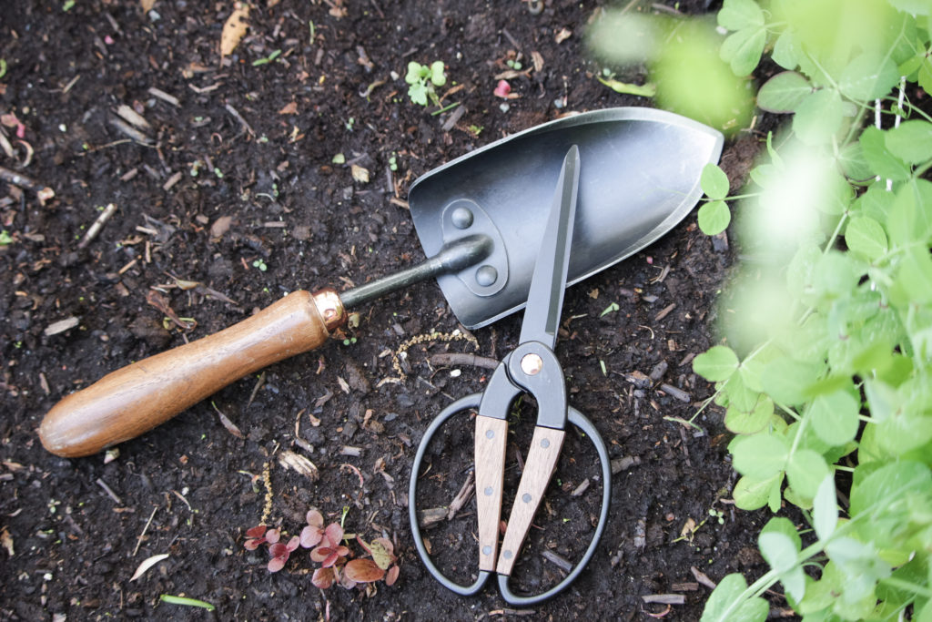 Garden Resources for Beginners: image of walnut and back spade and garden scissors.